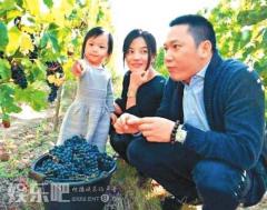 赵薇夫妇身家一年蒸发20亿 因持有股票狂跌