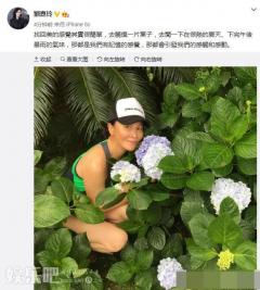 刘嘉玲的照片中有五朵花 四簇绣球一个她