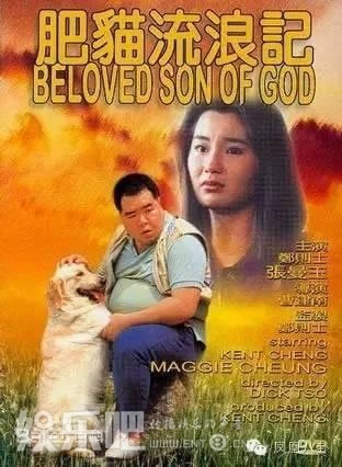 èһߺ죬10껹ǧծӲ벻