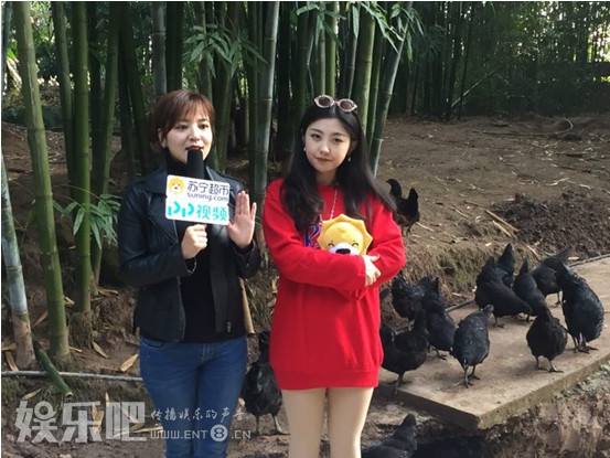 赤水竹林中的“蛋中人参” 苏先生带你寻鲜乌骨鸡蛋
