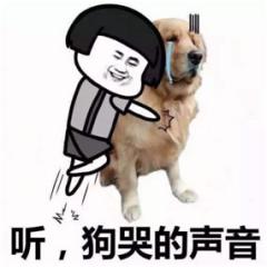 ���ڳ��г���������Ҳ�������ˣ����Ĵ�ʤ�����㶨�ܺ���